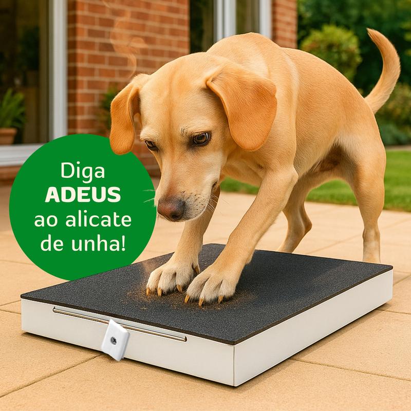 Arranhador Para Cães Brinquedo Interativo que Lixa as Unhas do Seu Pet de Forma Natural e Divertida Acessório